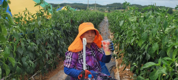 KakaoTalk_20260811_145041257_23.jpg