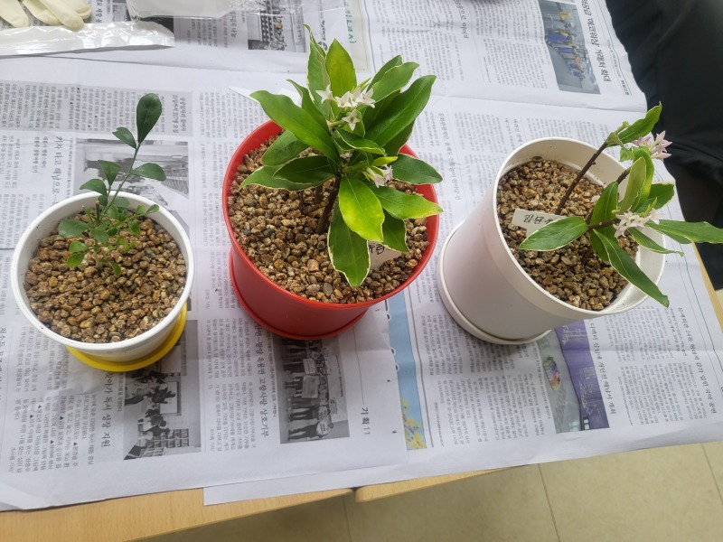 KakaoTalk_20260701_161144508_02.jpg
